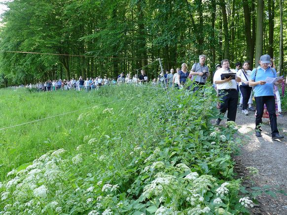 Festgottesdienst zum 1.000 Todestag des Heiligen Heimerads auf dem Hasunger Berg (Foto: Karl-Franz Thiede)